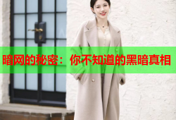 暗网的秘密：你不知道的黑暗真相
