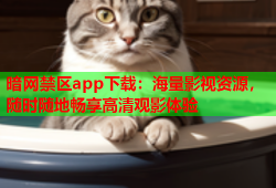 暗网禁区app下载：海量影视资源，随时随地畅享高清观影体验