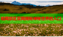 暗网禁区官网揭秘神秘世界的入口