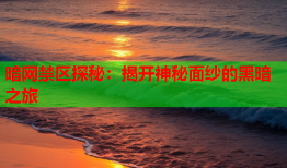 暗网禁区探秘：揭开神秘面纱的黑暗之旅