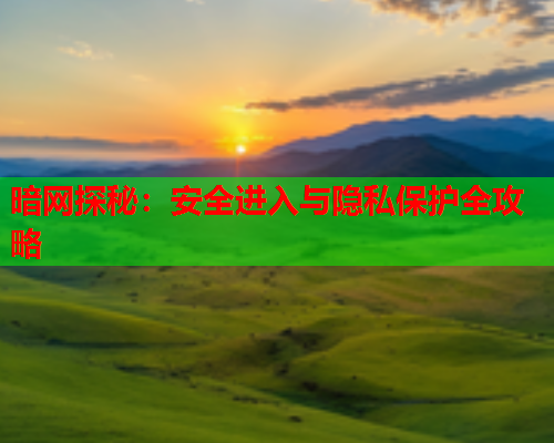 暗网探秘：安全进入与隐私保护全攻略