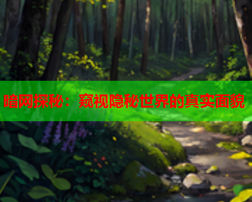 暗网探秘：窥视隐秘世界的真实面貌