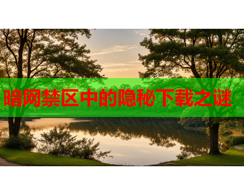 暗网禁区中的隐秘下载之谜