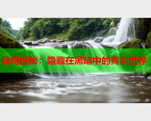 暗网探秘：隐藏在黑暗中的真实世界