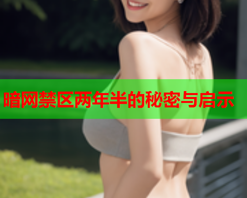 暗网禁区两年半的秘密与启示