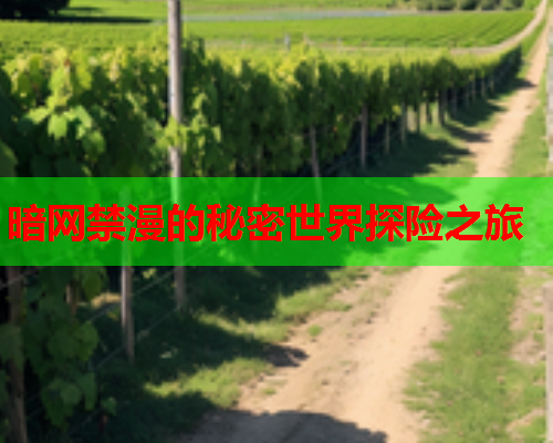 暗网禁漫的秘密世界探险之旅