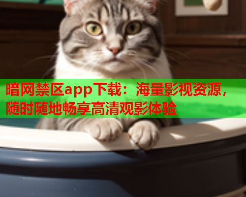 暗网禁区app下载：海量影视资源，随时随地畅享高清观影体验