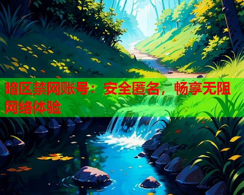 暗区禁网账号：安全匿名，畅享无阻网络体验