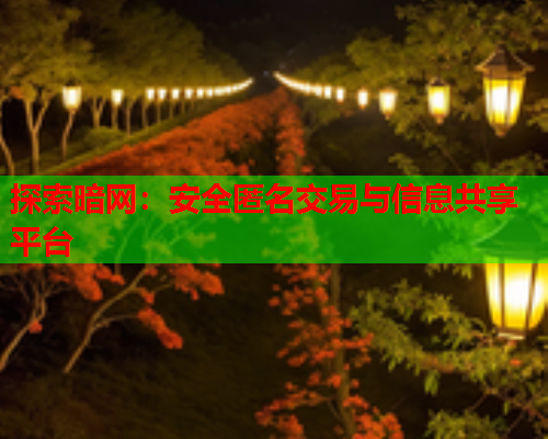 探索暗网：安全匿名交易与信息共享平台