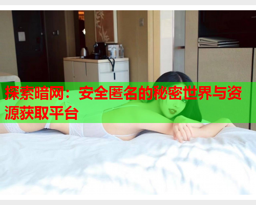 探索暗网：安全匿名的秘密世界与资源获取平台