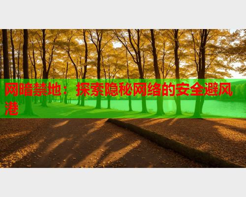 网暗禁地：探索隐秘网络的安全避风港